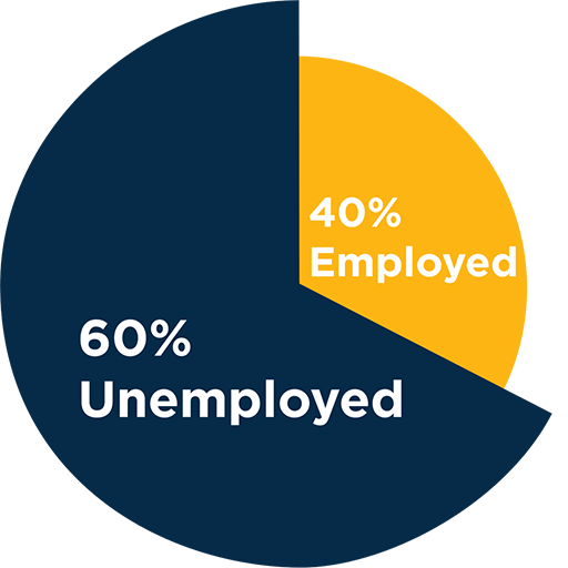 All PhD Disciplines Pie Chart, 60% Unemployed, 40% Employed