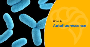 What Is Autofluorescence