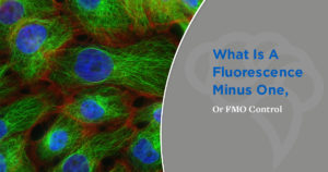 What Is A Fluorescence Minus One, or FMO Control