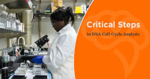 Critical Steps in DNA Cell Cycle Analysis