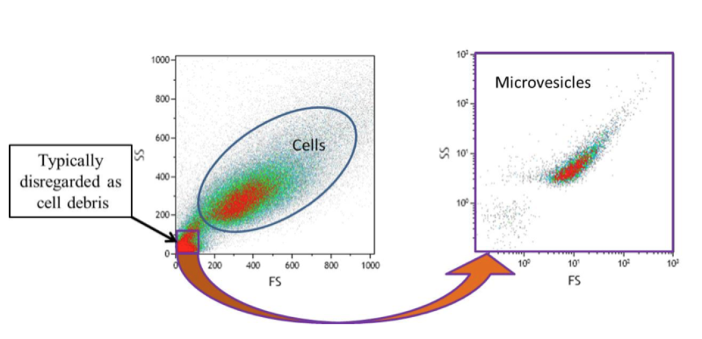 microvesicle experiment by flow cytometry | Expert Cytometry | microparticle analysis