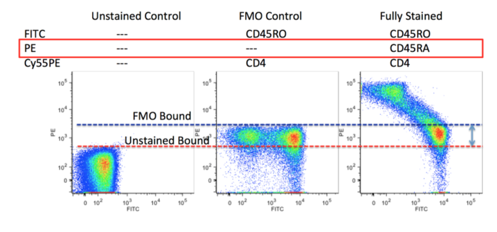 multicolor flow cytometry training | Expert Cytometry | fmo control flow cytometry