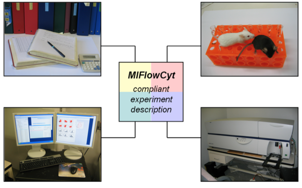 The FlowRepository | Expert Cytometry | flow cytometry standardization