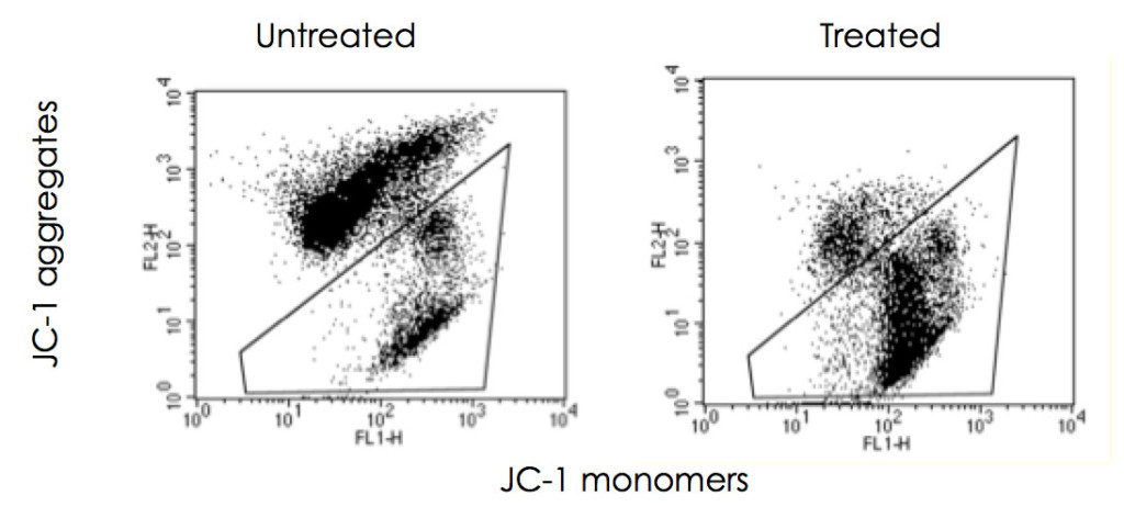 Apoptosis JC-1 monomers measured with flow cytometry