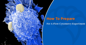 How To Prepare For A Flow Cytometry Experiment