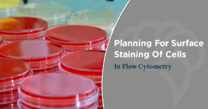 Planning For Surface Staining Of Cells In Flow Cytometry