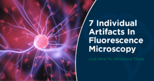 7 Individual Artifacts In Fluorescence Microscopy And How To Minimize Them