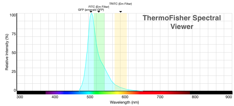 Spectral emission of GFP