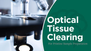 Optical Tissue Clearing For Pristine Sample Preparation