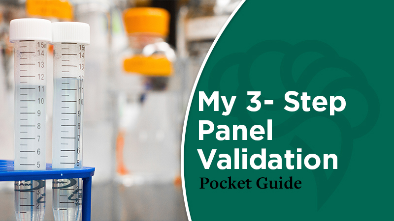 panel validation guide cover photo