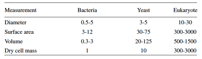rough comparison between bacteria, yeast, and larger eukaryotes