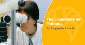 The 5 Fundamental Methods For Imaging Nucleic Acids