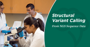 Structural Variant Calling From NGS Data