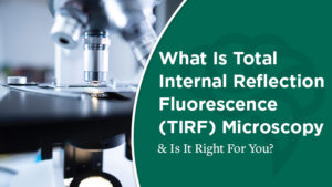 What Is Total Internal Reflection Fluorescence (TIRF) Microscopy & Is It Right For You?
