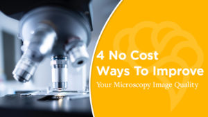 4 No Cost Ways To Improve Your Microscopy Image Quality